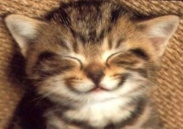 Foto publica di vr88