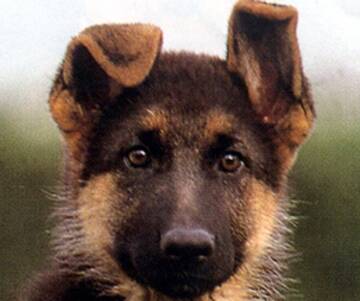 Foto publica di vr88