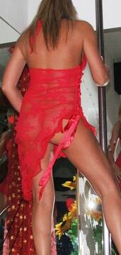 Foto pública de bluecat