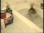Video amateur de riv_model_test