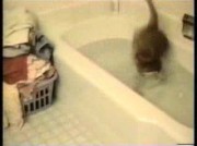 Video amateur de liramod2